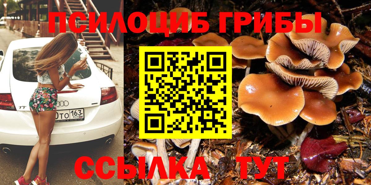 Псилоцибиновые грибы Psilocybine cubensis Звенигород