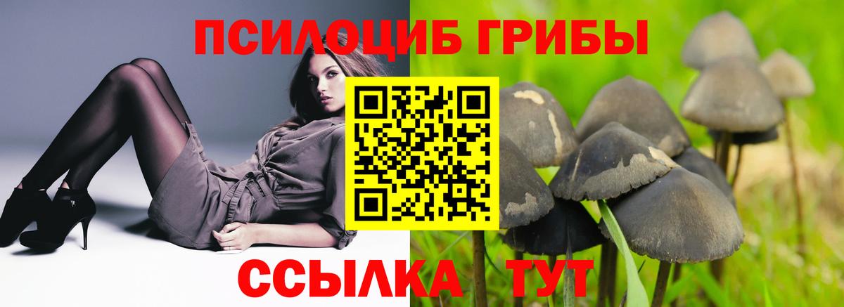 Галлюциногенные грибы прущие грибы  Вход с VPN  Галлюциногенные грибы GOLDEN TEACHER  дарнет шоп  Звенигород 